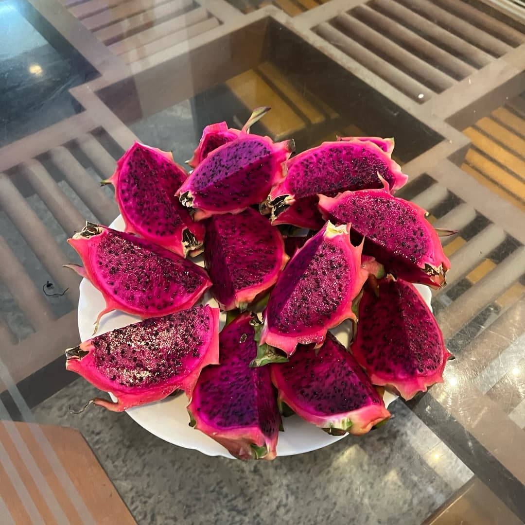 Dragon Fruit plant
